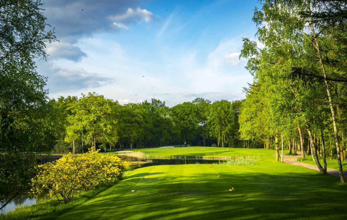 Turfgrass® tweet media