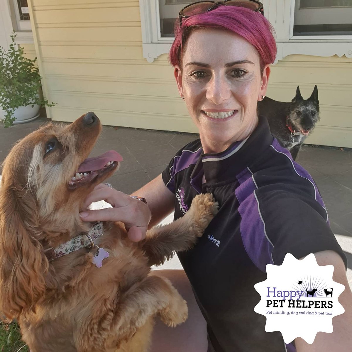 HappyPetHelpers's tweet photo. This was me yesterday spending some time with Phoebe and Murphy for a pee break as it was too hot for any walks ♡ #dogwalker #dogwalkeradelaide #dogwalkingbusiness #dogwalkingbusinessadelaide #adelaide #smallbusiness #smallbusinessAdelaide #HappyPetHelpers #cavoodle #mixterrier https://t.co/ZdZMuuH1o0