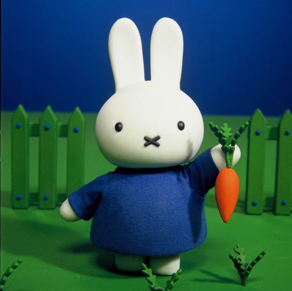 cottonsprout tweet picture