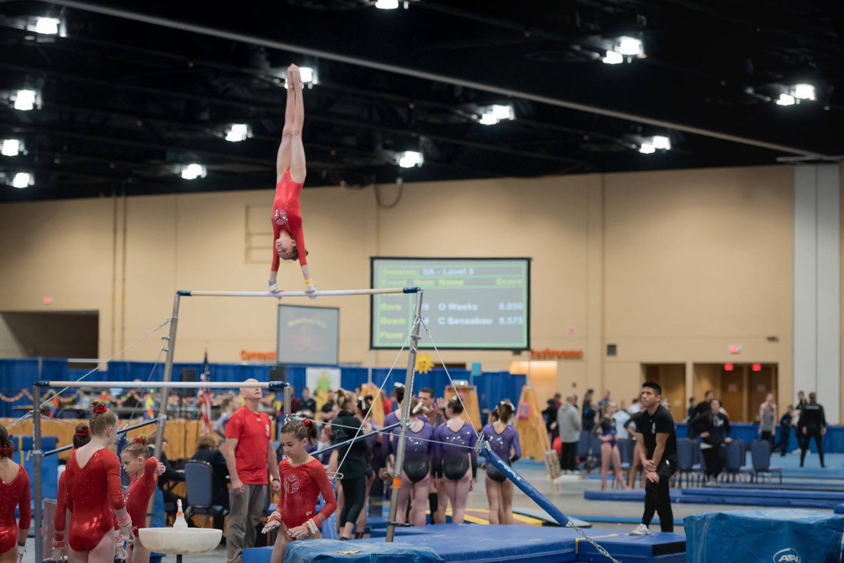 Alpha1_racing's tweet image. Meet Katya, the newest member of our team joins us as our Graphic Designer. As you can tell she loves gymnastics and rock climbing but does not plan to STRETCH that font :) 

#Alpha1_racing #BISCsouthloop #YoungEngineers #YoungEntrepreneurs  #F1inSchools #Teamwork #STEM