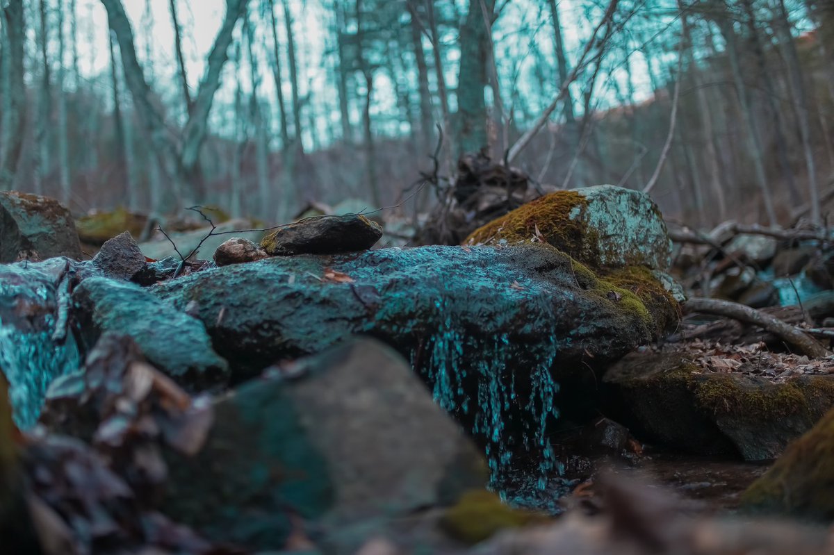 DymndJpg's tweet photo. cold hike blues
-
-
-
#SonyAlpha #mountains #wanderlust #Wanderers #NaturePhotography #photography #outdoors #woods #WannaGetAway #getaway #Travel #TravelBlog #photoblog #dymnd #blueridgemountains #Virginia #va https://t.co/v1tckrZ74k