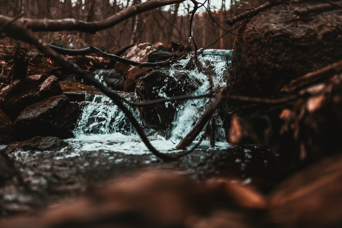 DymndJpg's tweet photo. cold hike blues
-
-
-
#SonyAlpha #mountains #wanderlust #Wanderers #NaturePhotography #photography #outdoors #woods #WannaGetAway #getaway #Travel #TravelBlog #photoblog #dymnd #blueridgemountains #Virginia #va https://t.co/v1tckrZ74k