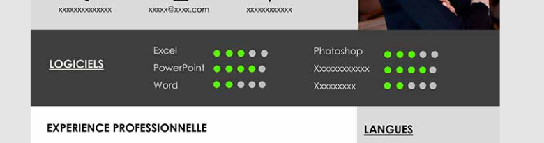 Ok, le premier truc évident : arrêtez de vous auto-noter sur vos compétences avec des diagrammes.3/5 sur Excel ça veut dire quoi Josette ? Quel est le barème ? Est-ce que tu as même conscience de ce qu'il te manque pour devenir une experte totale de ce logiciel ultra complexe ?