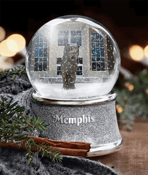 MemphisAlumni's tweet photo. #SnowDay https://t.co/rywrFePTDY
