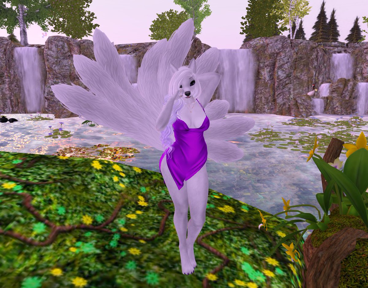 Amethysia_of_FF's tweet photo. Showcasing my Kitsune - Whisk Mod/MOR Kitsune Tails. Picture taken at the sim Furry #Secondlife #WhiskMod #Kitsune #furry https://t.co/UKnoGxwPd4