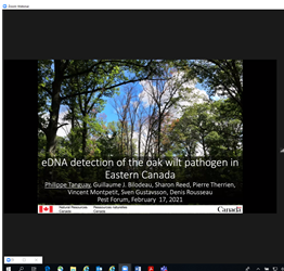 M_Marcotte76's tweet photo. Again great talk at #FPMF2021!  @PhilippeTangua2 presented on team work re: eDNA detection of #OakWilt/ Une autre belle présentation! @PhilippeTangua2 a présenté des travaux d'équipe sur la détection d'ADN environnemental du pathogène causant le #flétrissementduchêne @cflscf https://t.co/NCKSzUKWaJ
