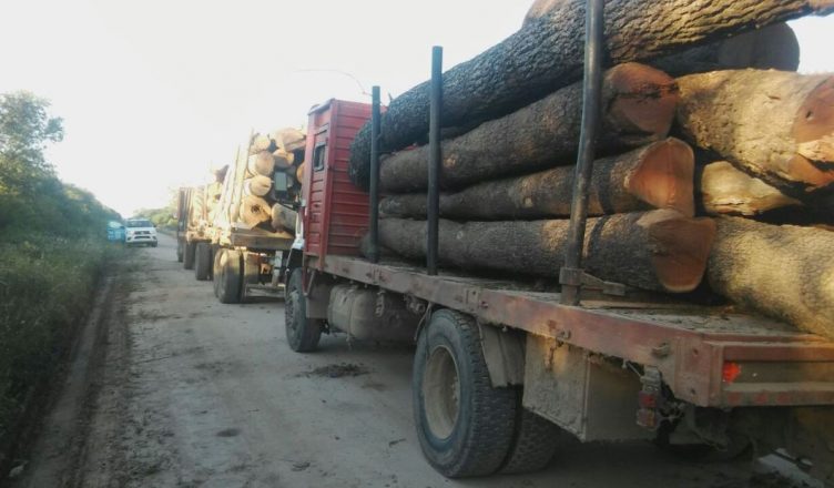gzarrilli's tweet photo. El bosque del Chaco sigue en peligro!
Planta productora de energía eléctrica a partir de biomasa del bosque nativo. Sigue explicación en el hilo
#bosques #desmonte #envihist #Chaco #ambiente #environmental #quebracho #bosquenativo #Granchaco #Laforestal #MedioAmbiente 👇 (1/10) https://t.co/ax37vMsaos