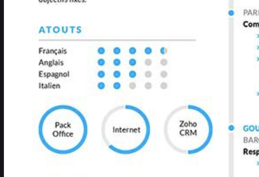 Mention spéciale aux diagrammes en cercle qui prennent 20% de la taille de ton CV tout en ne racontant rien du tout (oui on sait que tu sais utiliser word, c'est un peu le minimum quand on veut faire secrétaire, Jean-Gérard)