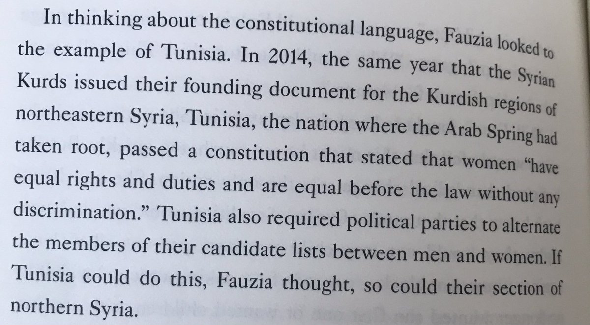 Apparently, the inclusion of women’s equality in the 2014 Tunisian constitution helped women in NES successfully argue for that language in their 2016 Social Contract!Interesting example of them connecting their struggle to that of women in Arab Spring movements.