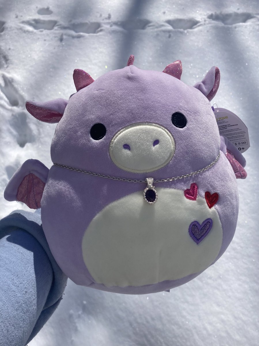 charmedbycait's tweet photo. 💜Late Valentine’s Giveaway💜
💜RT and follow to enter 
💜tag a friend for an extra entry 
💜 winner gets 8” Dina squishmallow and mini amethyst pendant 
💜 winner chosen on 3/1 https://t.co/IosDkoIVpt