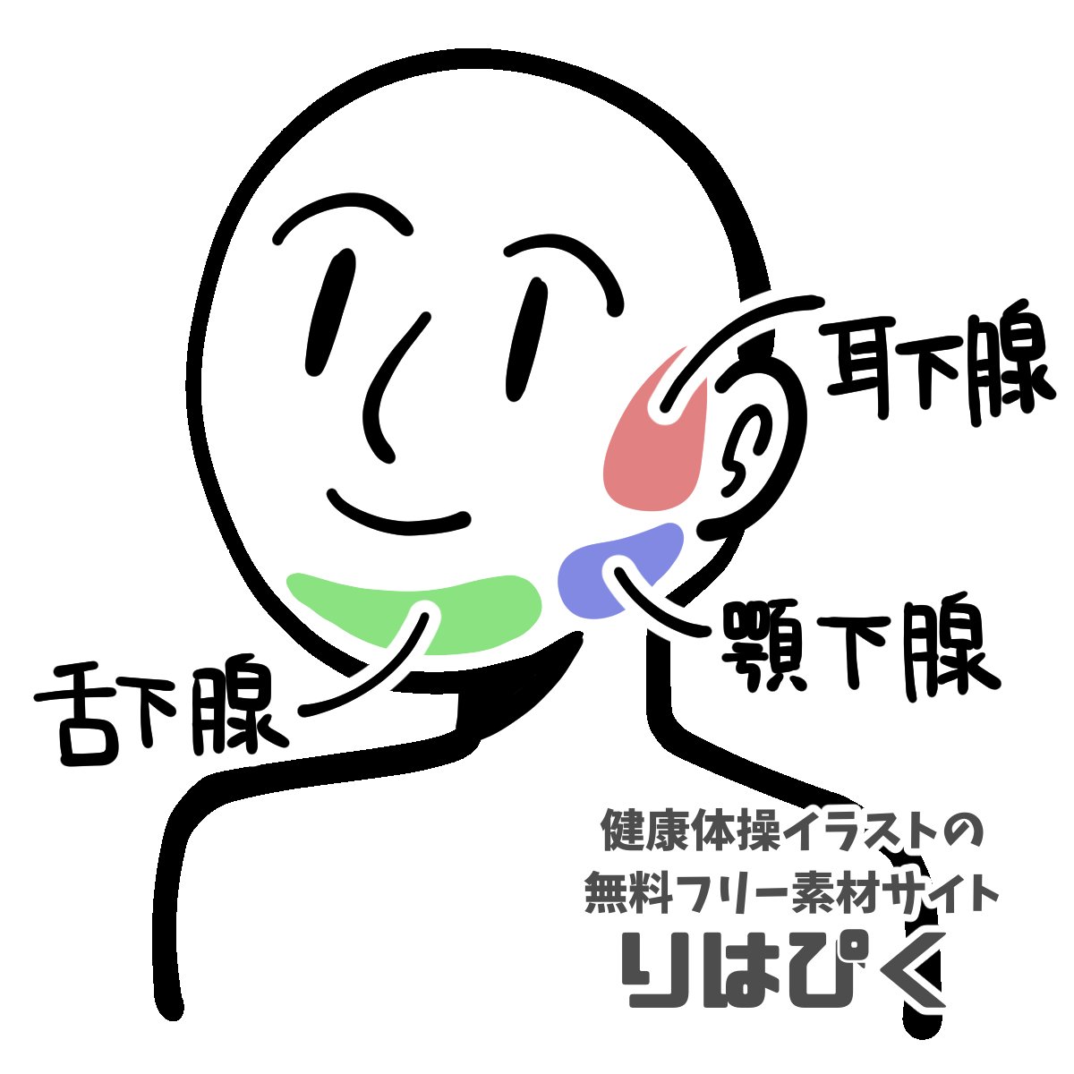 健康体操イラストの無料フリー素材サイト りはぴく Rihapic Twitter 健康体操イラストの無料フリー素材サイト りはぴく Rihapic Twitter