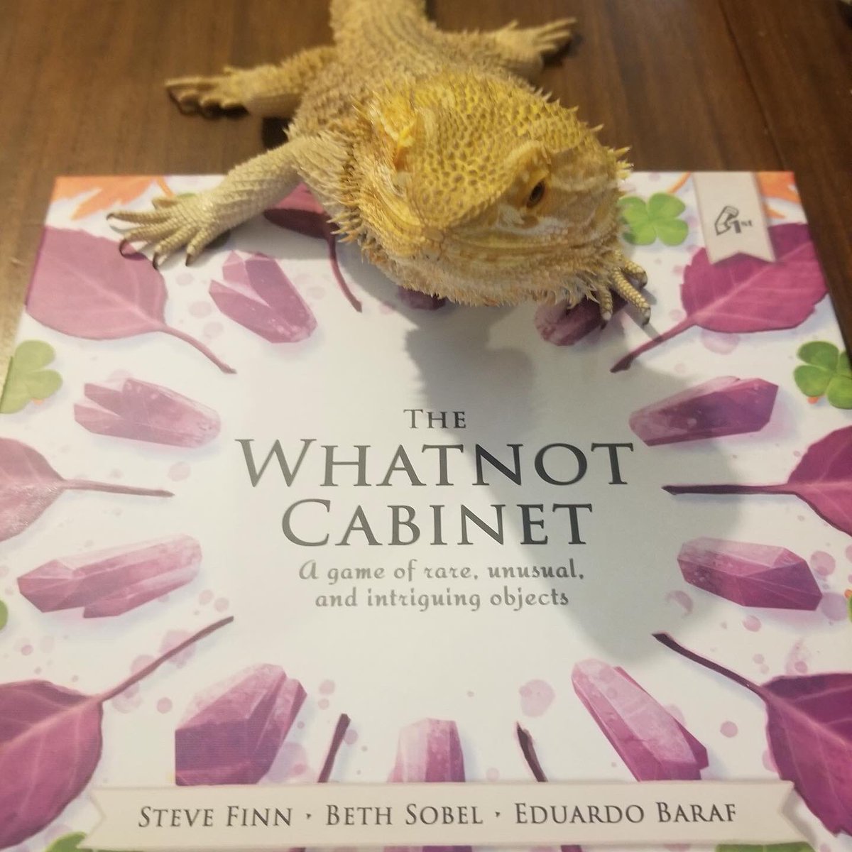 card_cantina's tweet photo. Our copy of #TheWhatnotCabinet from @PencilFirst arrived today! Morgan immediately claimed it for himself before we could even get it opened, but found himself very disappointed that he couldn’t eat the clover or leaves on the cover!
#mailcall #hungrylizard #beardeddragon #gaming https://t.co/Y4Y6ah32gc