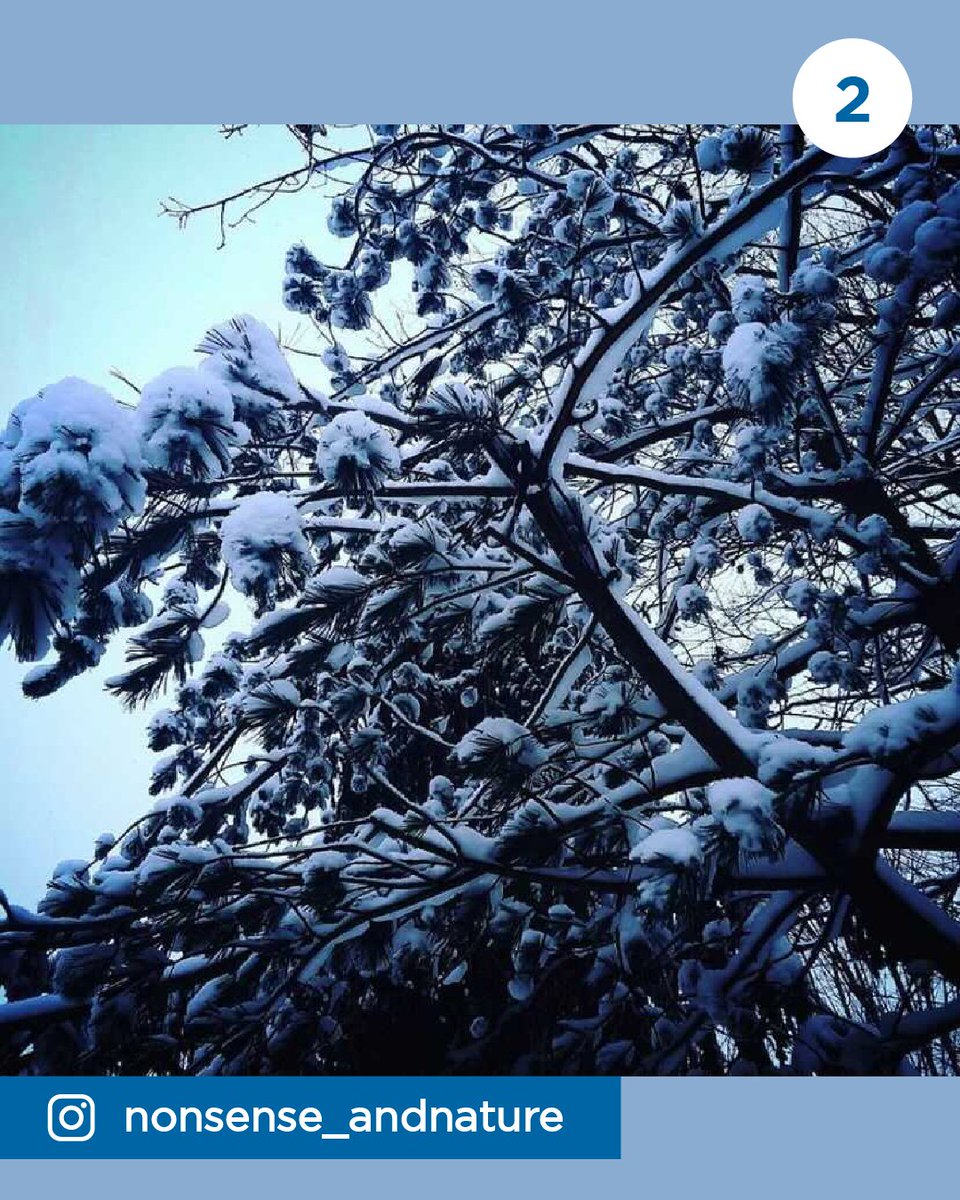 GVSU's tweet photo. #GVWinter Photo Contest Finalist #2 https://t.co/IU9u2UFxXi