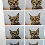 行きつけの動物病院で予防接種した際、写真を撮ってくれるサービスがあると話題に!怯え切った真顔にも注目!？