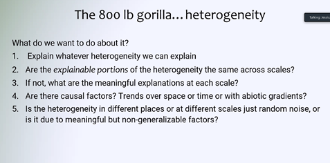 KorichevaLab's tweet photo. Great talk by Jessica Gurevitch on challenges of combining apples and oranges and dealing with the gorilla in the room - heterogeneity π+π = ? #FutureOfSynthesis @nceas https://t.co/rE24JnmOcf