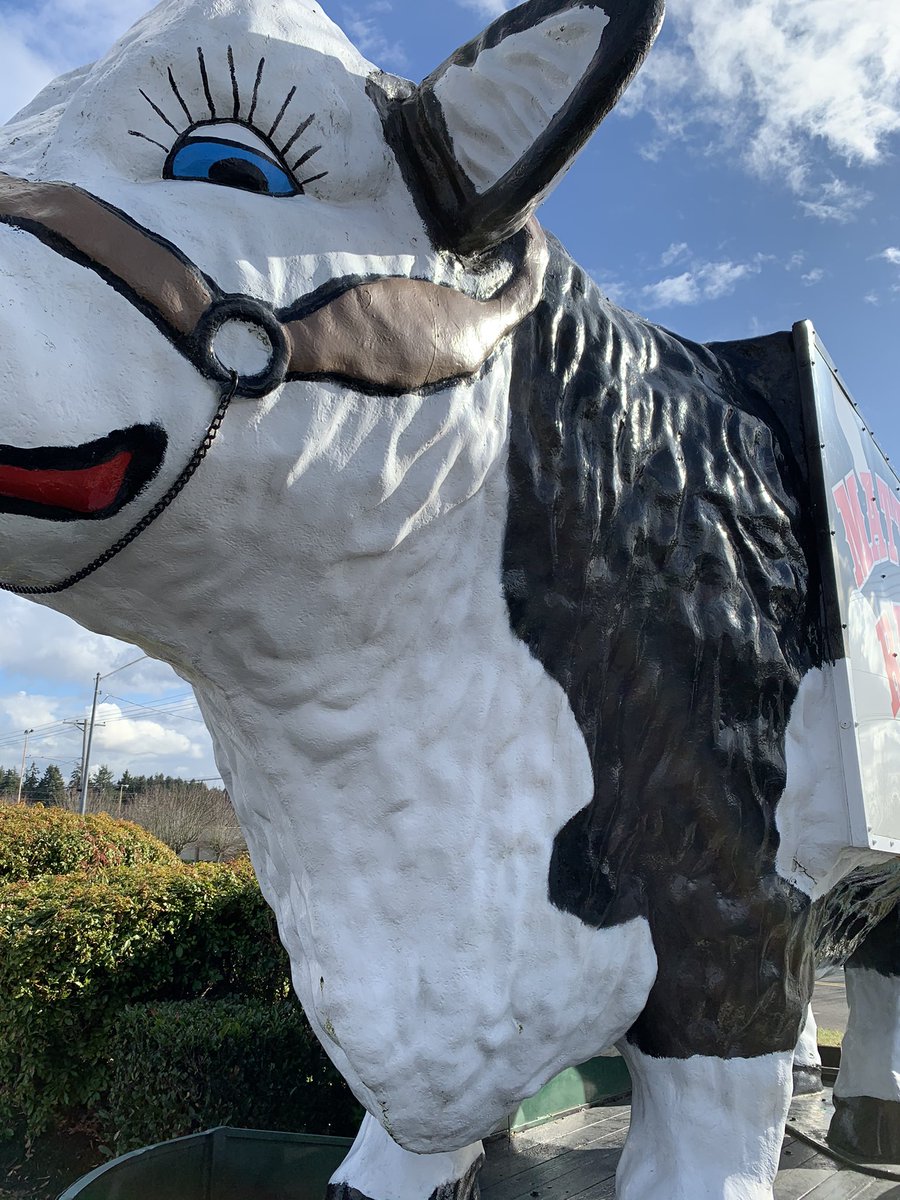 CStickermonkey's tweet image. #monkeyshines2021