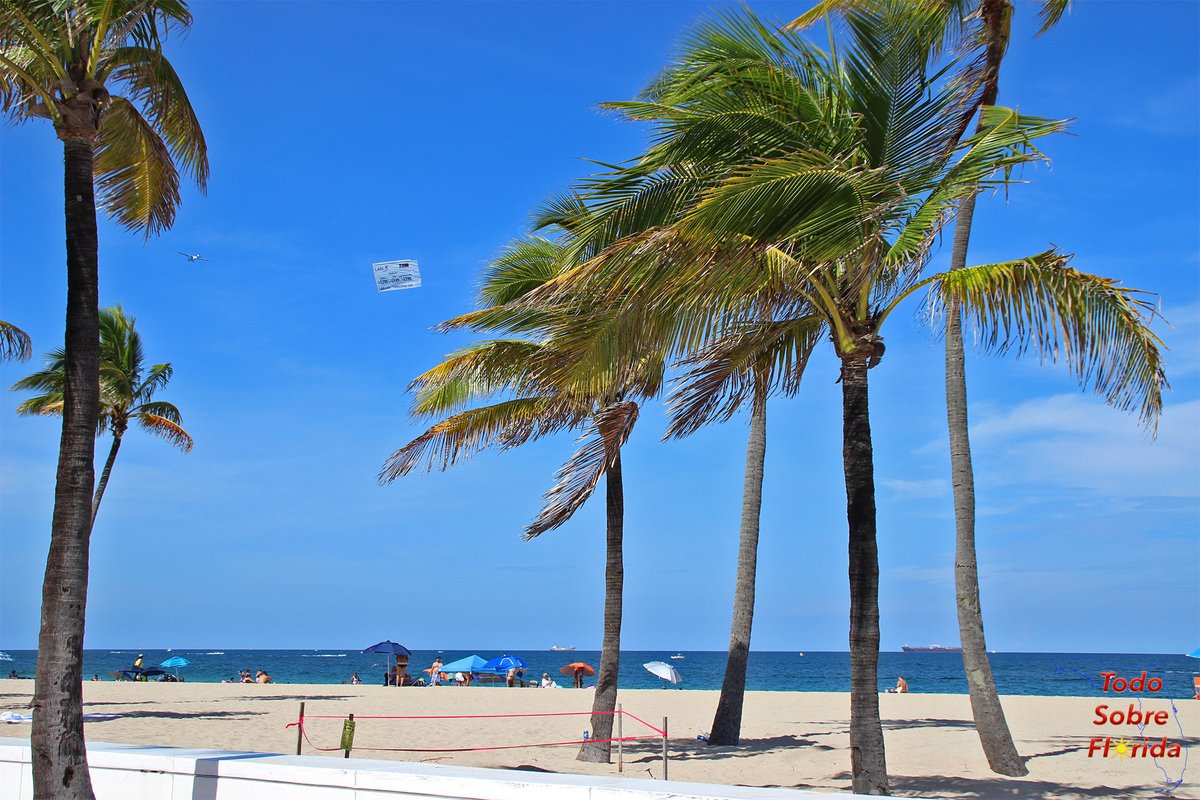 TSobreFlorida's tweet photo. You can also read our posts in English!! It's all about Florida! 😉 https://t.co/uhcKaEgV4j

#visitFlorida #Florida #travel #tourism https://t.co/UyT6qngCYO