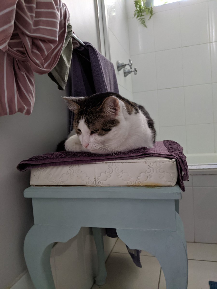 PollyMel's tweet photo. One of the main reasons I have a stool in my bathroom. Am thinking of swapping this one (back to my duchess) with one I can use as a hamper as well. But gotta consider comfort. #LifeStyling https://t.co/MAAfHDdsE1