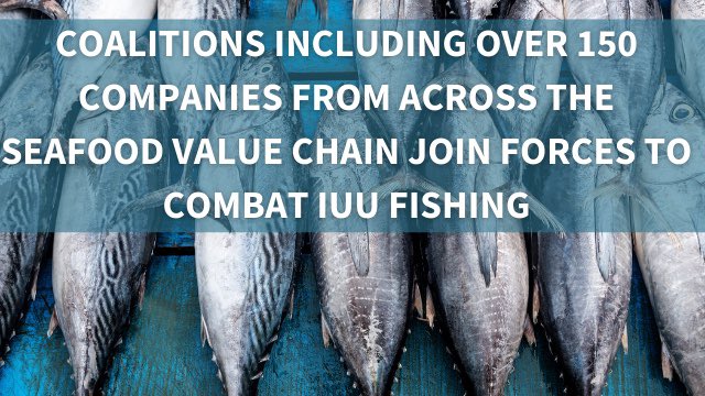 SOOOO exciting to see the new coalition of seafood industry and sustainability leaders from across the globe join forces to combat illegal fishing and ensure no fish caught illegally ends up on our plates.

weforum.org/agenda/2021/02…