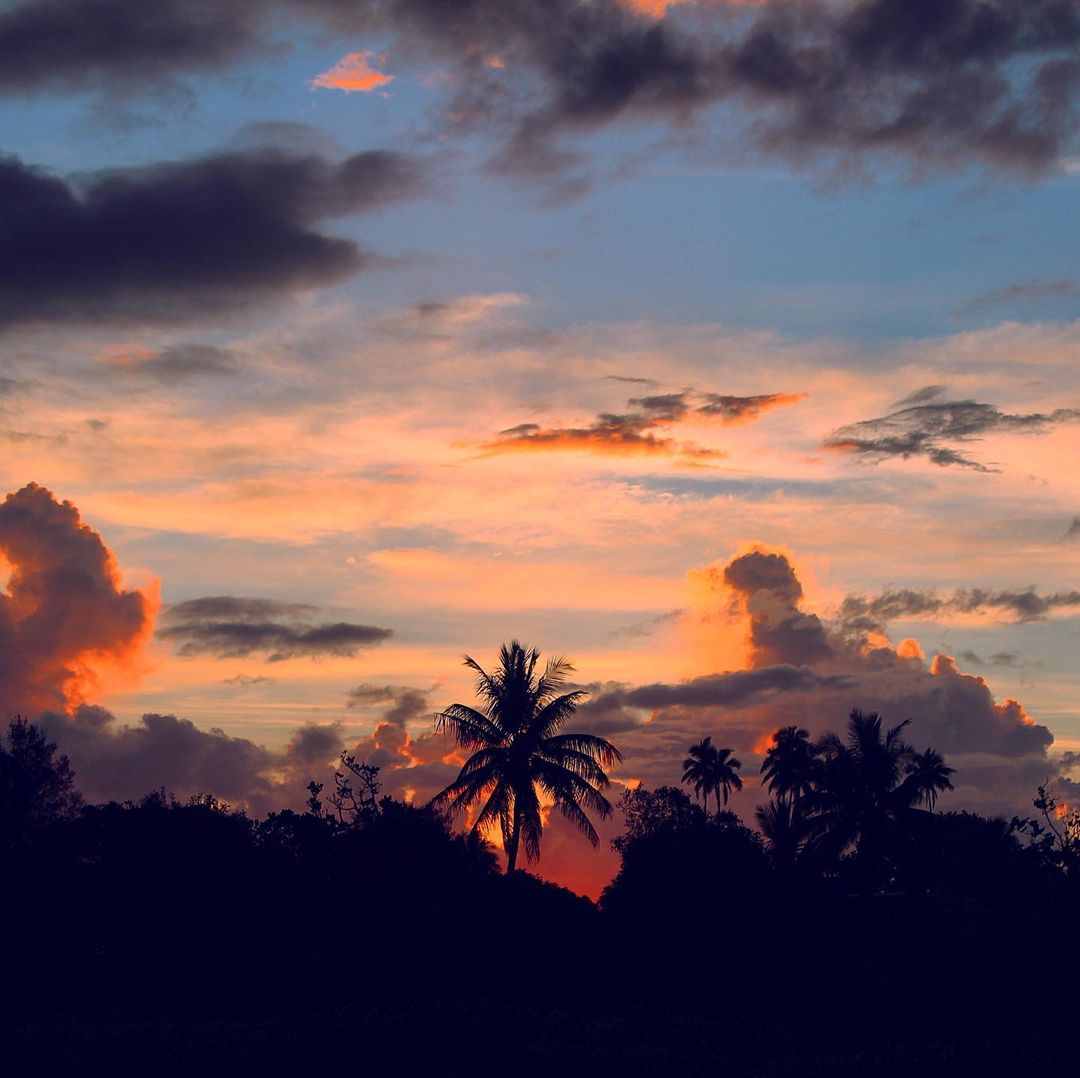 JacopoIslandWay's tweet photo. Le back roads di sera regalano viste da cartolina...
https://t.co/QtW1sTYXMD
#isolecook #cookislands #rarotonga #beautiful_sunset #rossodisera #sunsetlovers #sunsetaddict #sunsetcaptures #sunset_lovers #islandsunset https://t.co/vy8msrfY4n