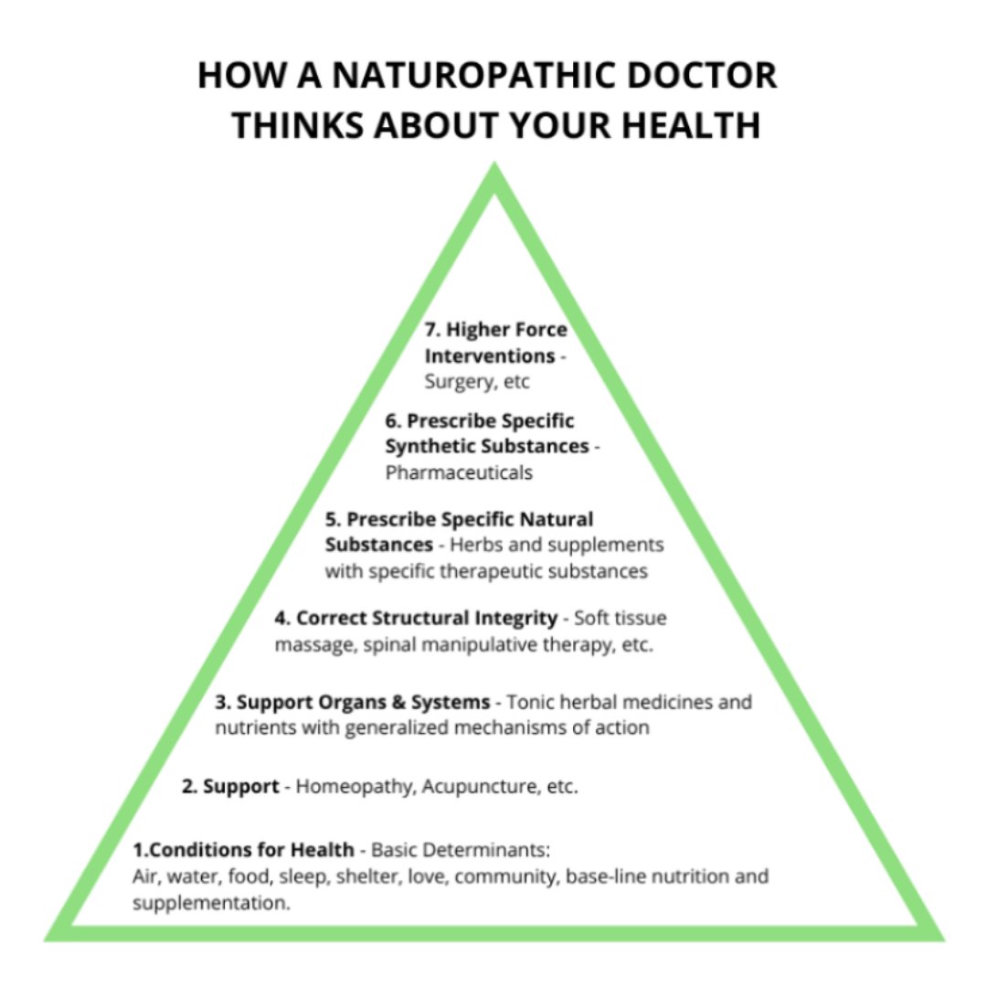 CentreSinclair's tweet photo. Listen and learn from Dr. Shabita Teja about how a naturopathic doctor views your health on her podcast👉 https://t.co/cTV6JD84wM

And her blog post 👉https://t.co/UNJXFyiBvB

#yvrwellness #yvrnaturopath #vancitywellness #naturopath #naturopathdoctor #naturopathpodcast https://t.co/DKI1NqYney