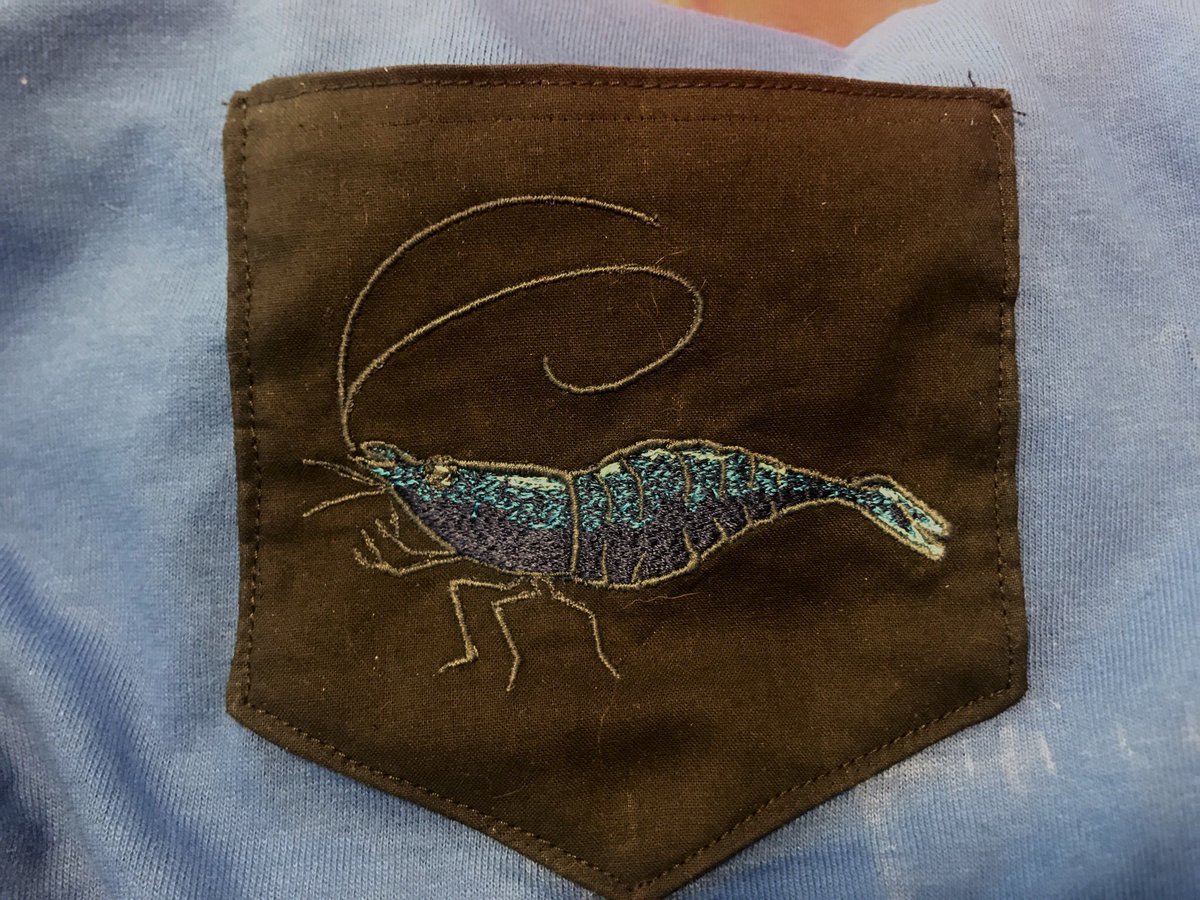 BackupLefey's tweet photo. I’m excited to list these on etsy once I stop getting migraines every other day! I wish the store had a burgundy or dark red for the brown frog though /: But I’m really happy with these! https://t.co/cM6A73Bc5a