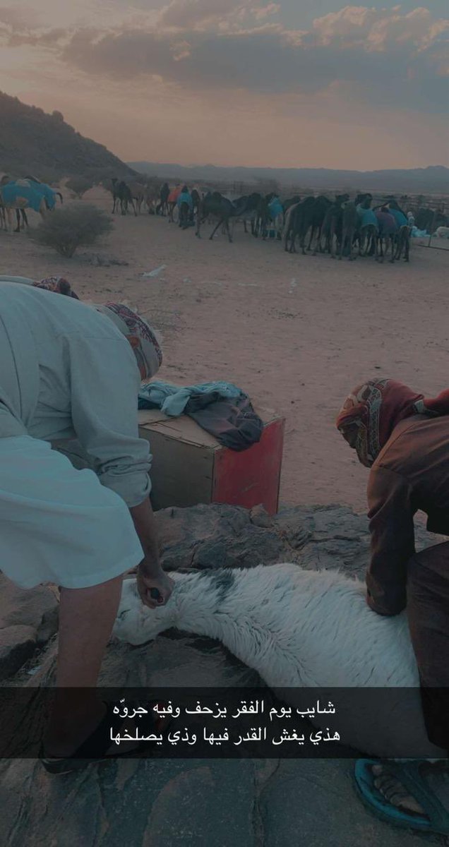 #نجران_الانᅠ 

كيف اصد من المواقيف الكبيرة
وانت ابي ولابتي صرخ ال فاضل 

الوالد الله يطول عمره