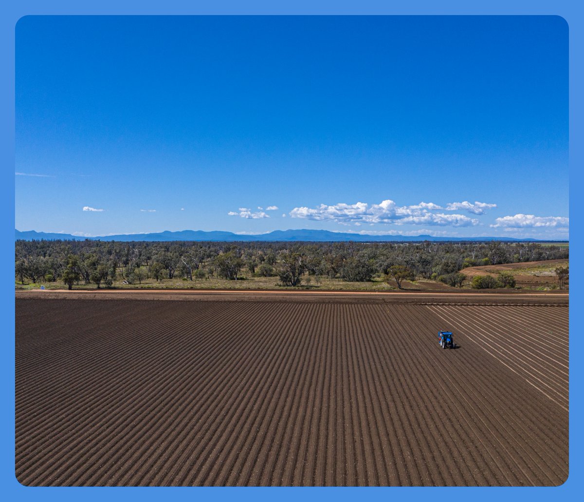 Kalyx is seeking candidates for a Graduate Research Agronomist role in Narrabri, NSW. If you know you want your career to be heading in this direction, then we want to hear from you.  Go to kalyx.com.au to find out more #careerinag #agresearch #wearehiringnow