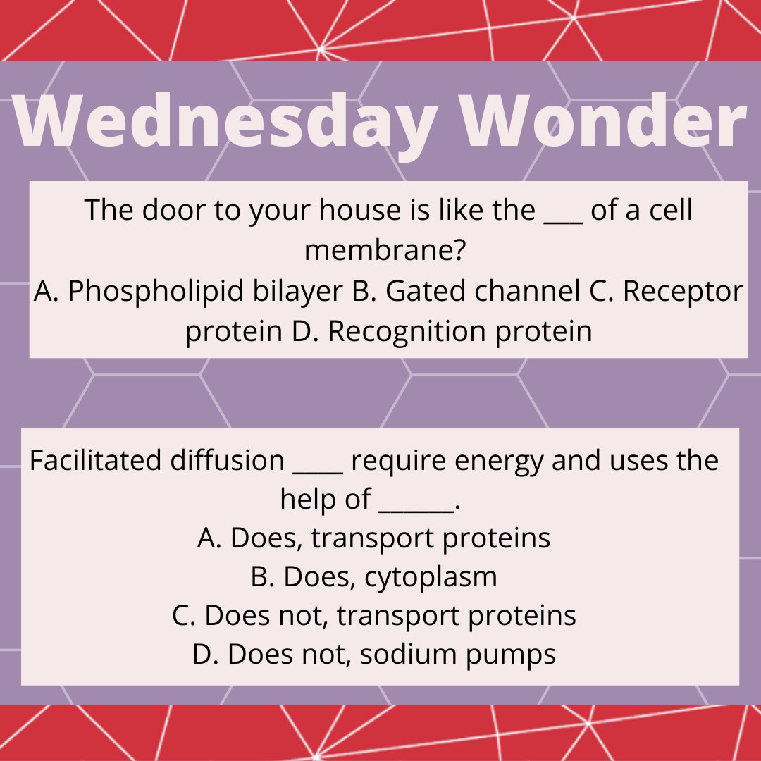 Try to answer today's #WednesdayWonder !
