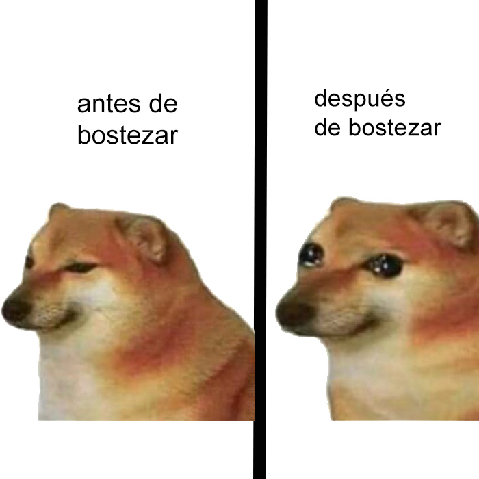 yisucrist's tweet photo. meme simple, sencillo, humilde, directo y efectivo https://t.co/ggSPzBe3Ku