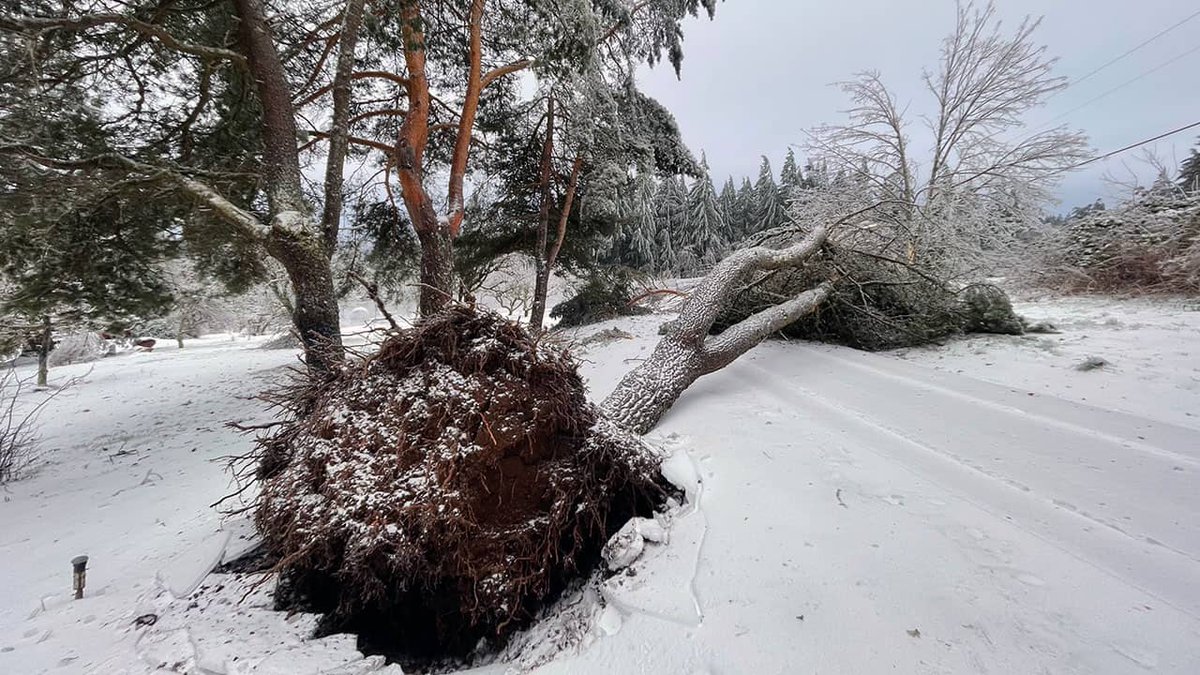 An ice-cold update dlvr.it/RswntS #Temporary #Administration