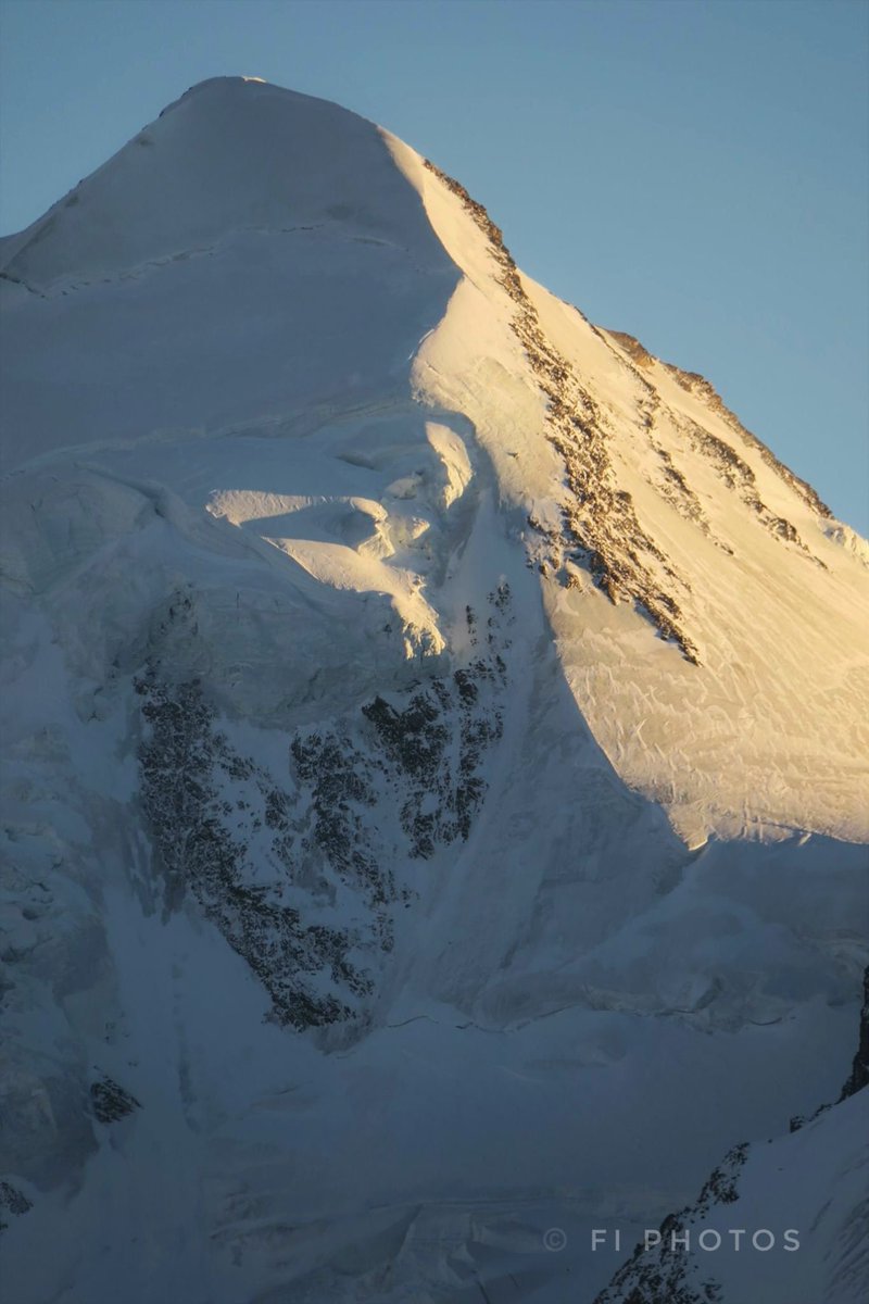 Fi Photos tweet media