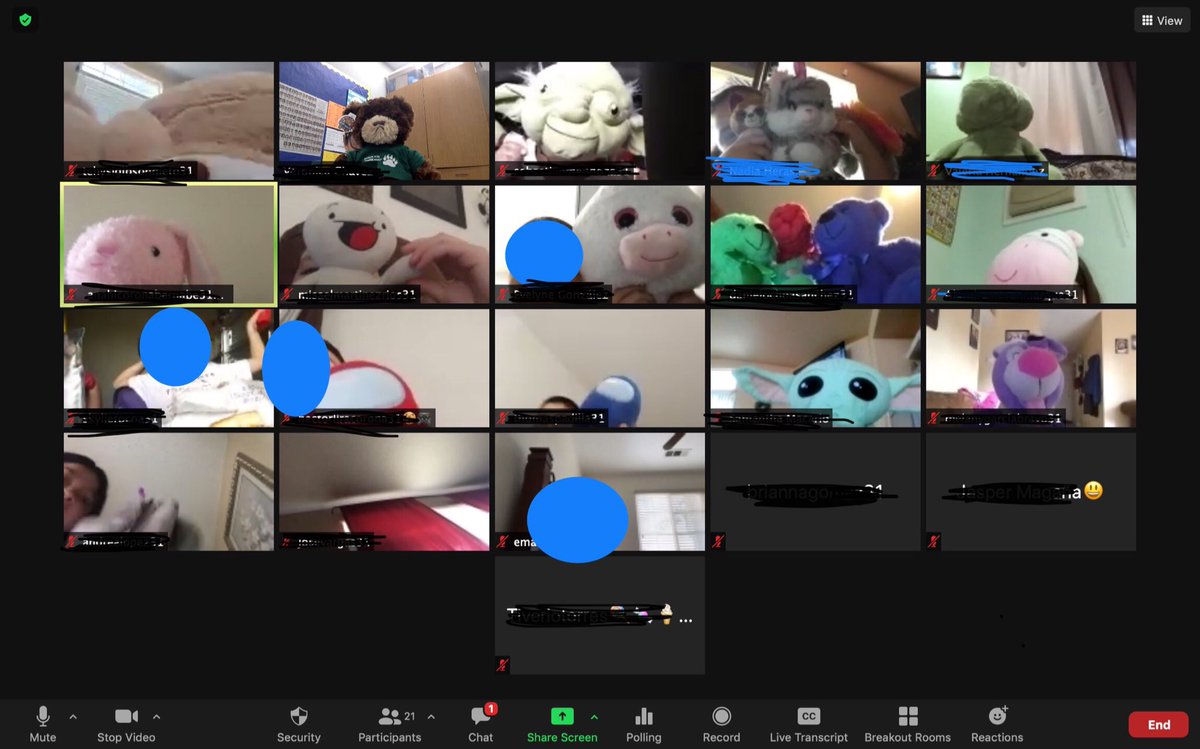 Stuffed animals on zoom... gotta love the emotional support, courage and company they provide.