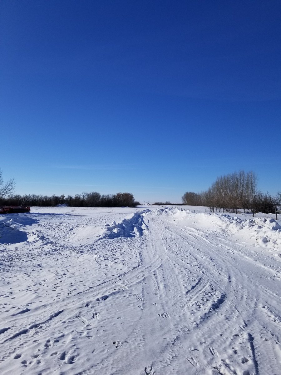 Does Google maps have a "Saskatchewan Winter" setting. Apparently this is a road.
