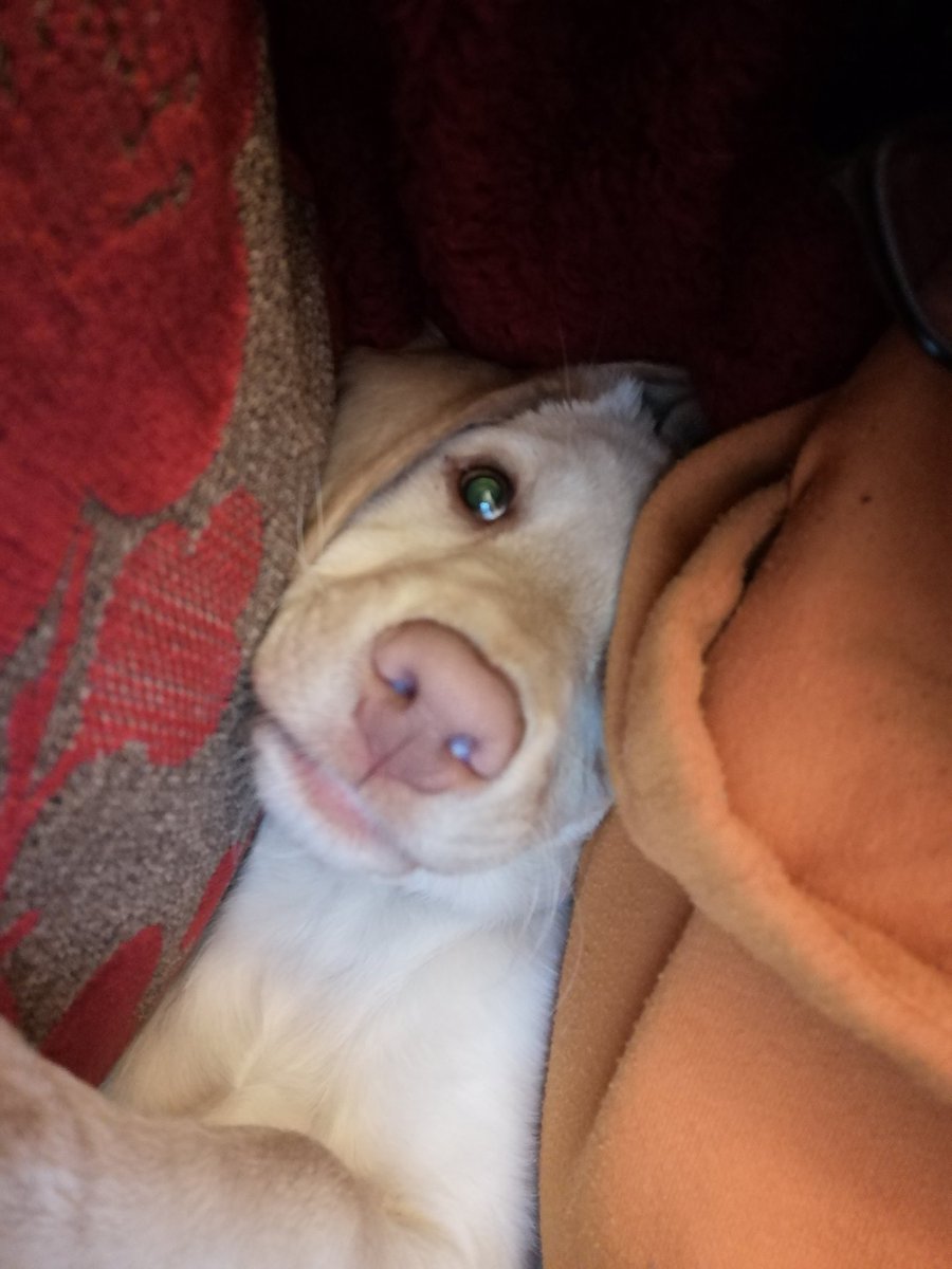 Luna selfie