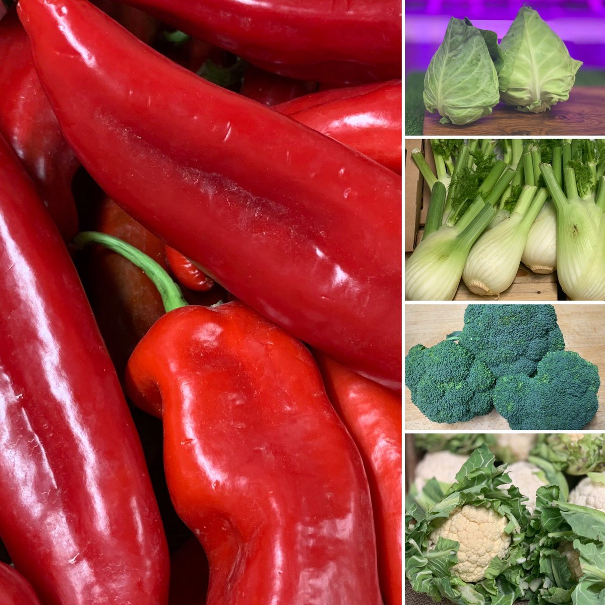 Growingfield28's tweet photo. Top quality fresh produce in The Farm shop this week @Growingfield28 - open on Thursday and Friday 10-5 pm and Saturday 10-2 pm #freshproduce #shoplocal #shoplocally #smallbusiness #localbusiness #localcommunity #daresbury #daresburylaboratory #daresburysciencepark #haltonlocal https://t.co/FnXc1vSd8L