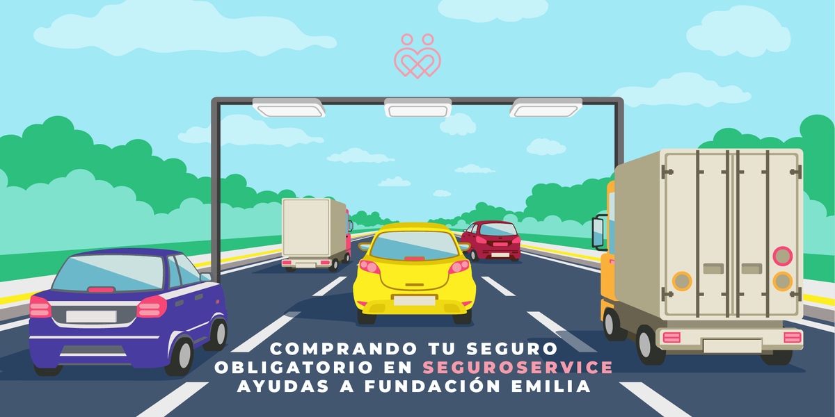 FundacionEmilia's tweet photo. ¡Este año convierte tu #SOAP en un aporte solidario!
Como cada año #SeguroService renueva su compromiso con Fundación Emilia y nos entrega un aporte por cada seguro que compres.
Visita nuestra página https://t.co/5gx2iPAuCV , pincha en el banner y ayúdanos a seguir ayudando. https://t.co/bYvC3cC3LE