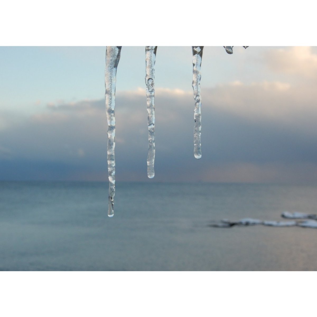 yama_miyu_0810's tweet photo. 今朝は昨日より雪が積もってます。
会社行けるかしら?
#雪景色 #雪 #つらら #ファインダー越しの私の世界 #写真好きな人と繋がりたい #カメラ好きと繋がりたい #カメラ女子 #カメラじょうずになりたい #キリトリセカイ #山口県宇部市 #ubecity https://t.co/XuPC0Rv67B