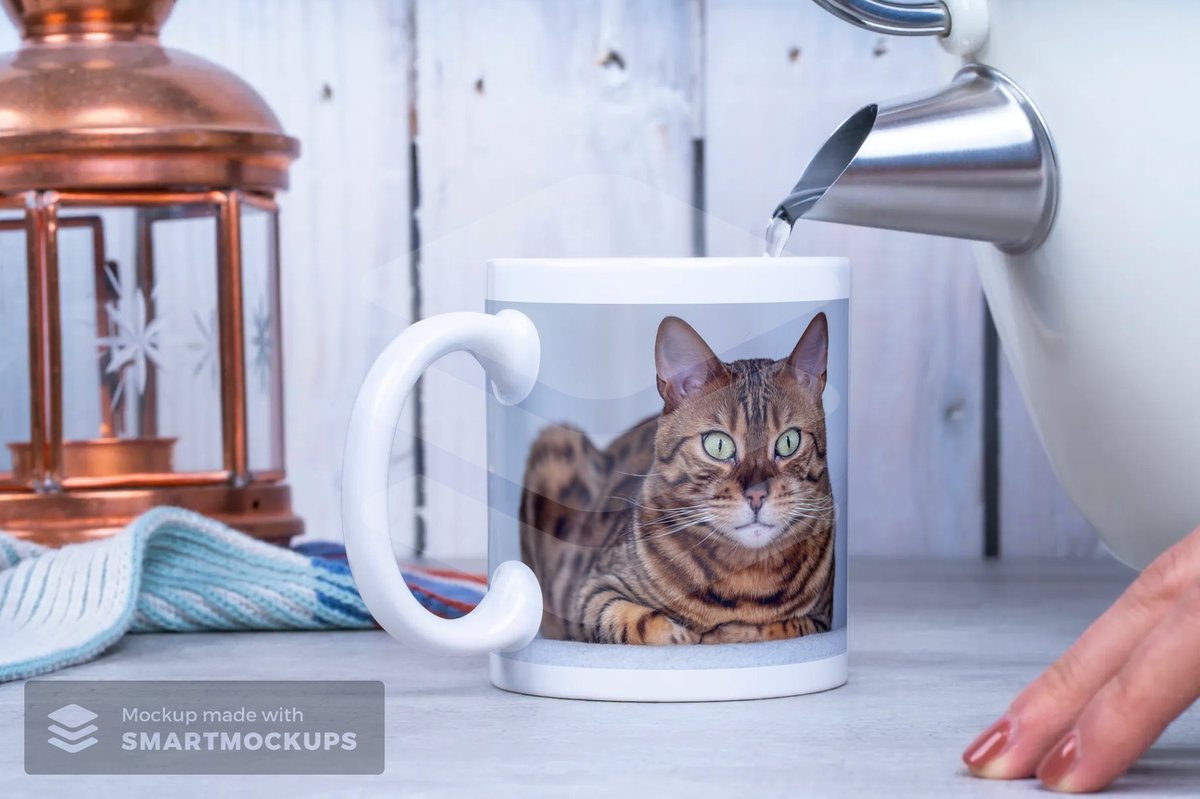 UsineBSB's tweet photo. Se liga, bichano 😻

tem também canecas personalizadas... https://t.co/2EMGsC1Lo8