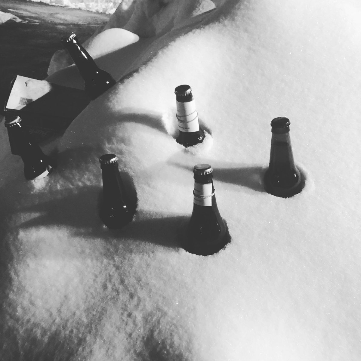 waroftheworts's tweet photo. Club meeting tomorrow night at 7pm! Check your email for the Zoom details! Trivia, WOTW, book club and more! Cheers! @waroftheworts https://t.co/T7jzugFAyU