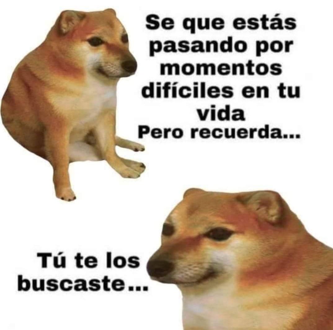 _milderr_'s tweet photo. Que clase de motivación es esta?
#lavida #esbella https://t.co/Q7BqthG43u