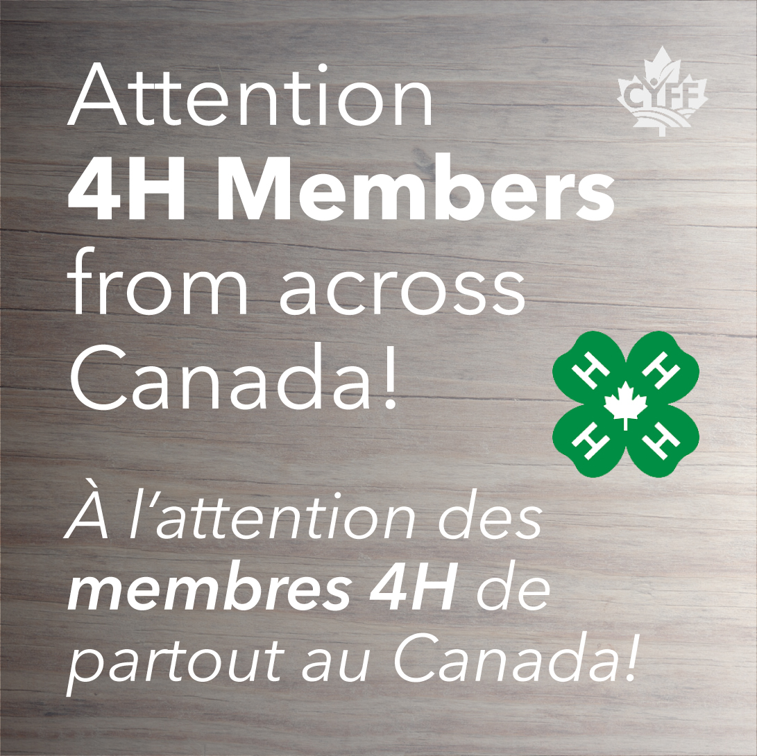 CYFF's tweet photo. 4H members (aged 18-25) who have recently exceeded the age limit for their local club or have been a 4H member in 2019 or 2020 can sign up for a FREE trial #CYFF membership! Sign up at https://t.co/hjhJ7xCjf0.
#4h #4halumni https://t.co/bn9RN3uPb0