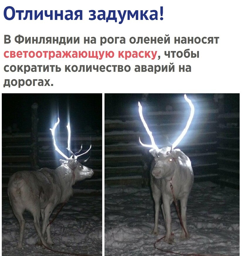 Рогоносец карикатура. Человек с оленьими рогами. Мужчина олень. Выражение наставить рога. Мужчина с оленьими рогами.