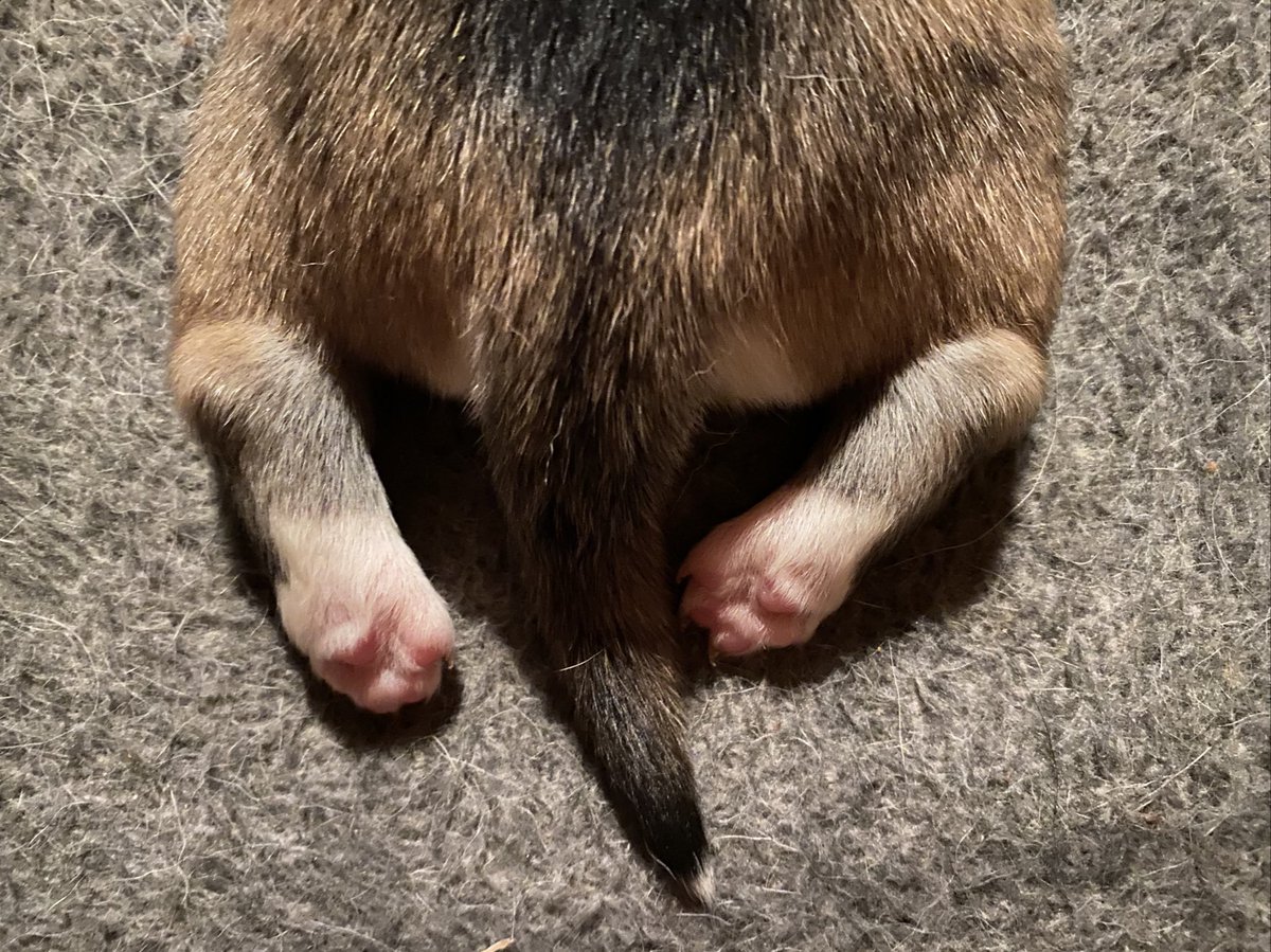 We can’t wait to watch them grow up.