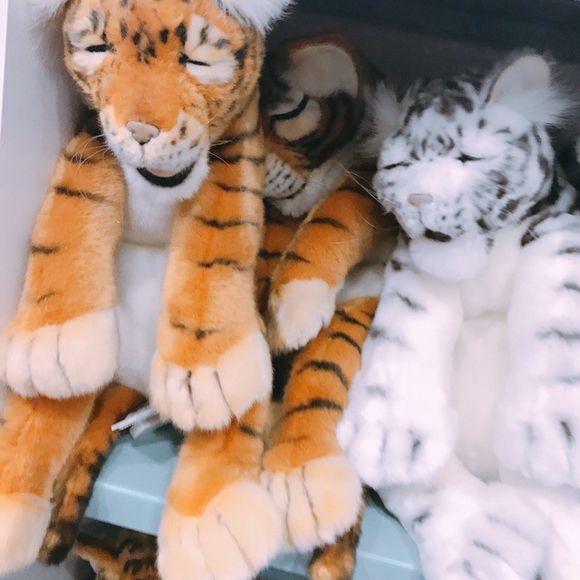 2dalmighty's tweet image. 신상품이 생각보다 반응이 잔잔바리라서 둘다 파워시무룩됨 웃프당