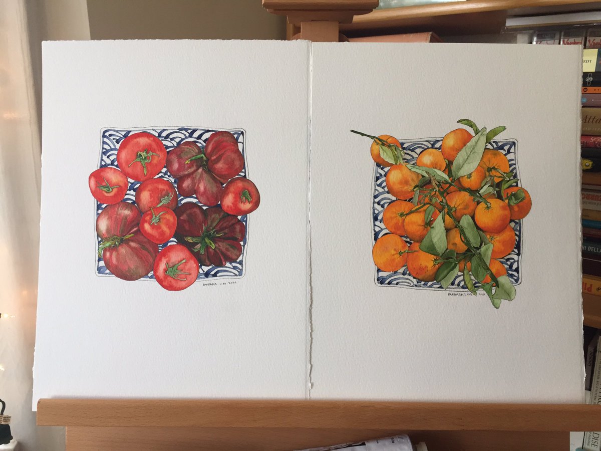 BarbLimStudio's tweet photo. Sometimes it helps me to put my work up &amp; let them sit around a bit before I decide if they are #reallydone 🍅+🍊 drawn with @Blackwing on @StCuthbertsMill 300lb coldpress #watercolour #artistsontwitter #scbwiartist #foodart #ipaintwhatieat #foodillustration #isitdoneyet https://t.co/UV5pjdnZK9