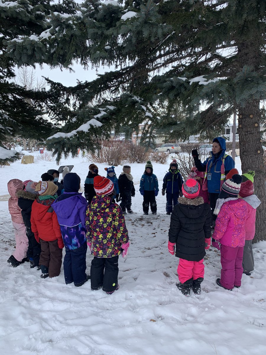 WDSKPearson's tweet photo. Our sharing circle during outdoor classroom gave us on opportunity to talk about why we are grateful for trees. “They are homes for the birds!” Living in gratitude with my Kinders #LandBasedEd @wdsprincipal @CbeArea1 https://t.co/A8OPsWX4dJ