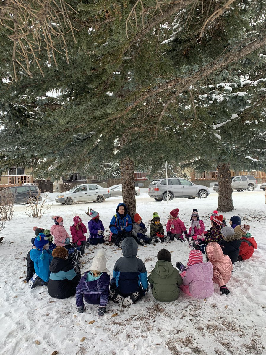 WDSKPearson's tweet photo. Our sharing circle during outdoor classroom gave us on opportunity to talk about why we are grateful for trees. “They are homes for the birds!” Living in gratitude with my Kinders #LandBasedEd @wdsprincipal @CbeArea1 https://t.co/A8OPsWX4dJ