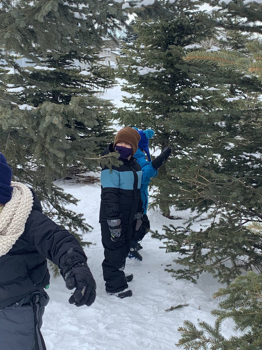 WDSKPearson's tweet photo. Our sharing circle during outdoor classroom gave us on opportunity to talk about why we are grateful for trees. “They are homes for the birds!” Living in gratitude with my Kinders #LandBasedEd @wdsprincipal @CbeArea1 https://t.co/A8OPsWX4dJ