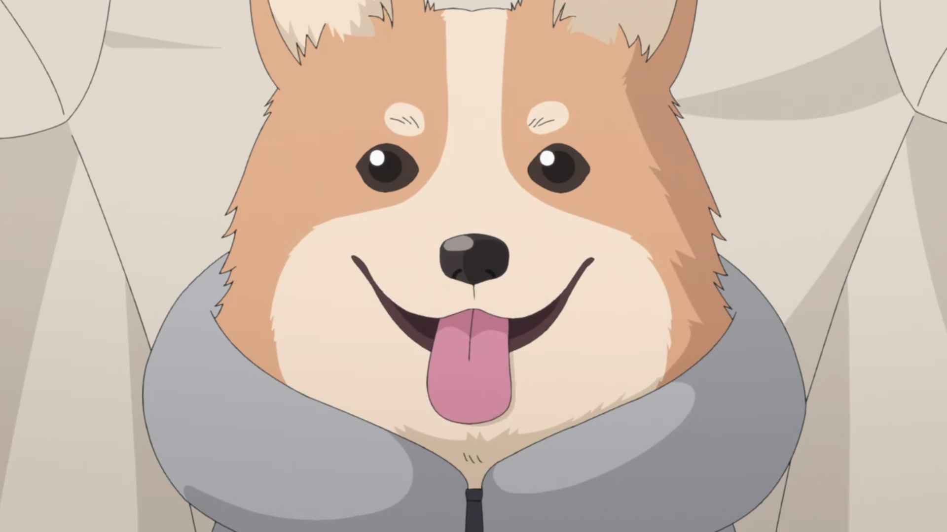 けーはんしん Pa Twitter チョコちゃん ゆるキャン チョコちゃん ゆるキャン 実写版ちくわ役 チョコちゃん 我が家の愛犬 T Co Ynz81qz9df Twitter